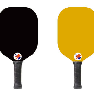 Pickleball Set for 2